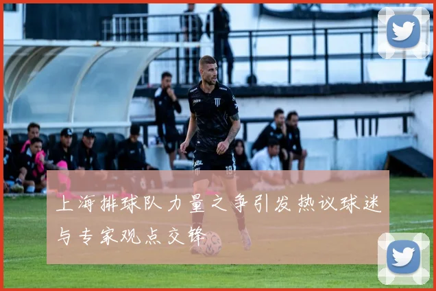 上海排球队力量之争引发热议球迷与专家观点交锋