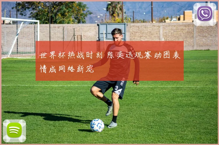 世界杯热战时刻 陈奕迅观赛动图表情成网络新宠