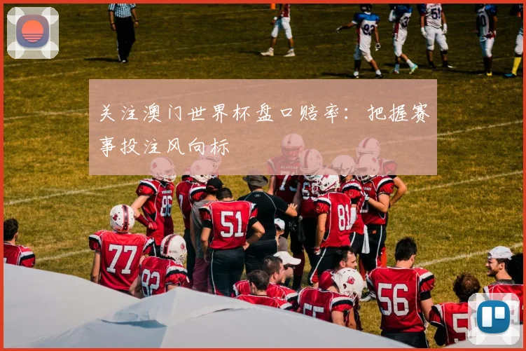 关注澳门世界杯盘口赔率:把握赛事投注风向标