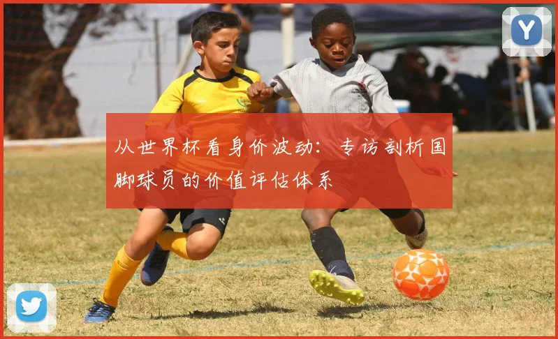 从世界杯看身价波动:专访剖析国脚球员的价值评估体系