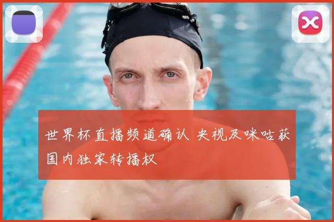 世界杯直播频道确认 央视及咪咕获国内独家转播权