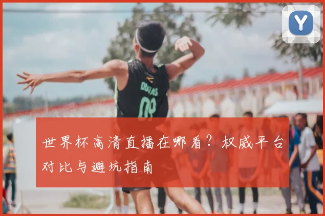 世界杯高清直播在哪看?权威平台对比与避坑指南